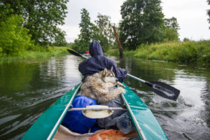 Lahntal mit Hund erleben Kajakfahren mit Hund